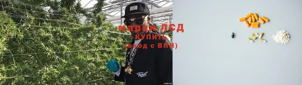 a pvp Алзамай